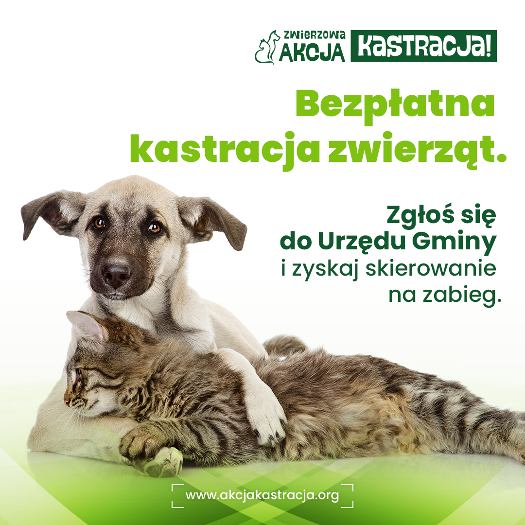  - Kliknięcie spowoduje wyświetlenie powiększenia zdjęcia