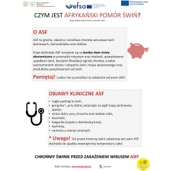  - Kliknięcie spowoduje wyświetlenie powiększenia zdjęcia