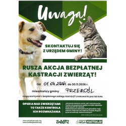  - Kliknięcie spowoduje wyświetlenie powiększenia zdjęcia