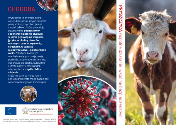 Pryszczyca - ulotka informacyjna